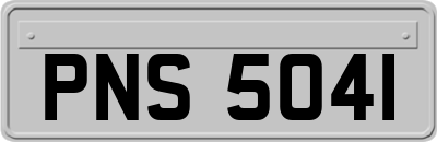 PNS5041