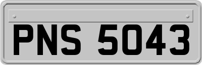 PNS5043