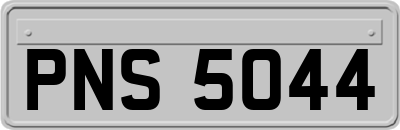 PNS5044