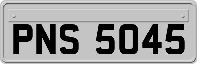 PNS5045