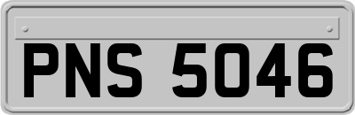 PNS5046