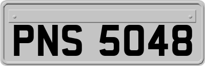 PNS5048