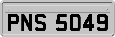 PNS5049