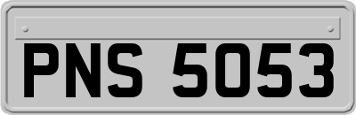 PNS5053