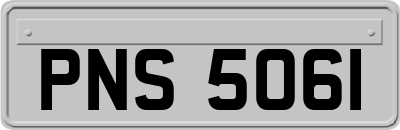 PNS5061