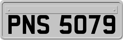 PNS5079