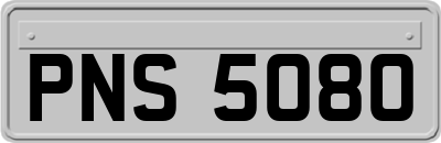 PNS5080