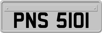 PNS5101