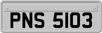 PNS5103