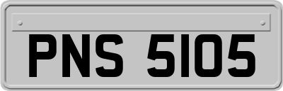 PNS5105