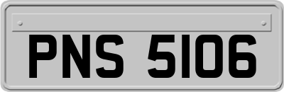 PNS5106