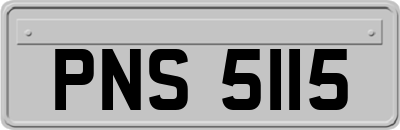 PNS5115