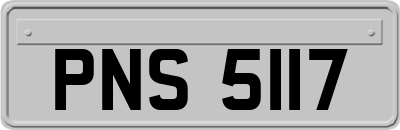PNS5117
