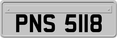 PNS5118