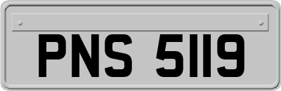 PNS5119
