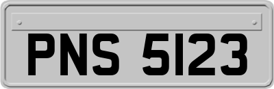 PNS5123