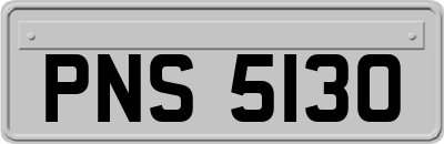 PNS5130