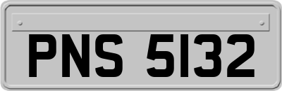 PNS5132