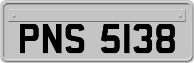 PNS5138