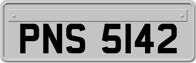 PNS5142