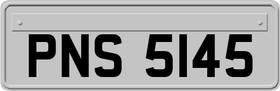 PNS5145