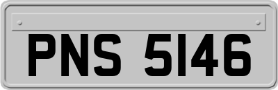 PNS5146