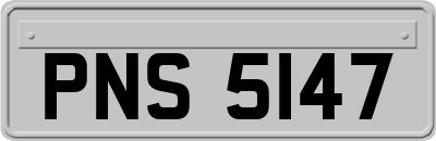 PNS5147