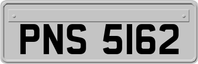 PNS5162