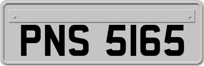 PNS5165