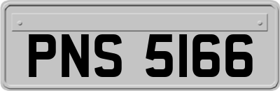 PNS5166
