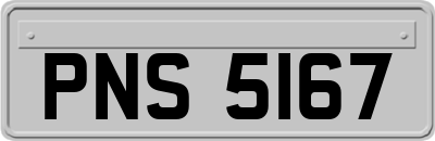 PNS5167