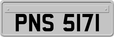 PNS5171