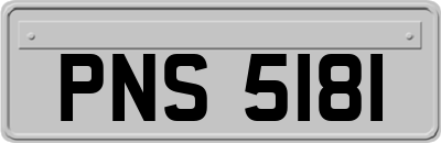 PNS5181
