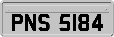 PNS5184