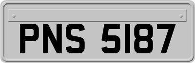 PNS5187