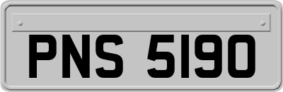 PNS5190