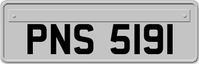 PNS5191