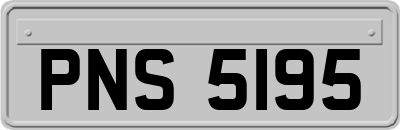 PNS5195