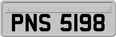 PNS5198