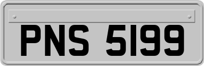 PNS5199