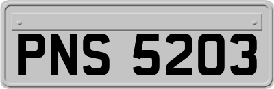 PNS5203