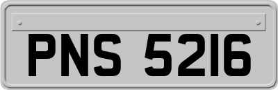 PNS5216