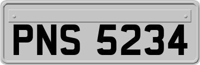 PNS5234