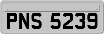 PNS5239
