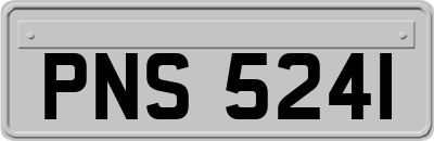 PNS5241