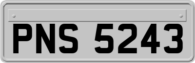 PNS5243