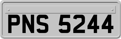 PNS5244