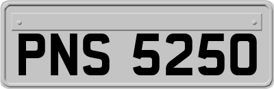 PNS5250