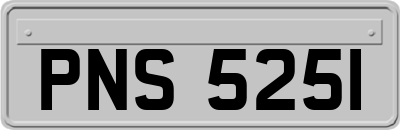 PNS5251