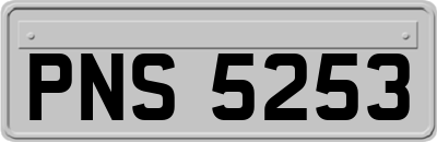 PNS5253